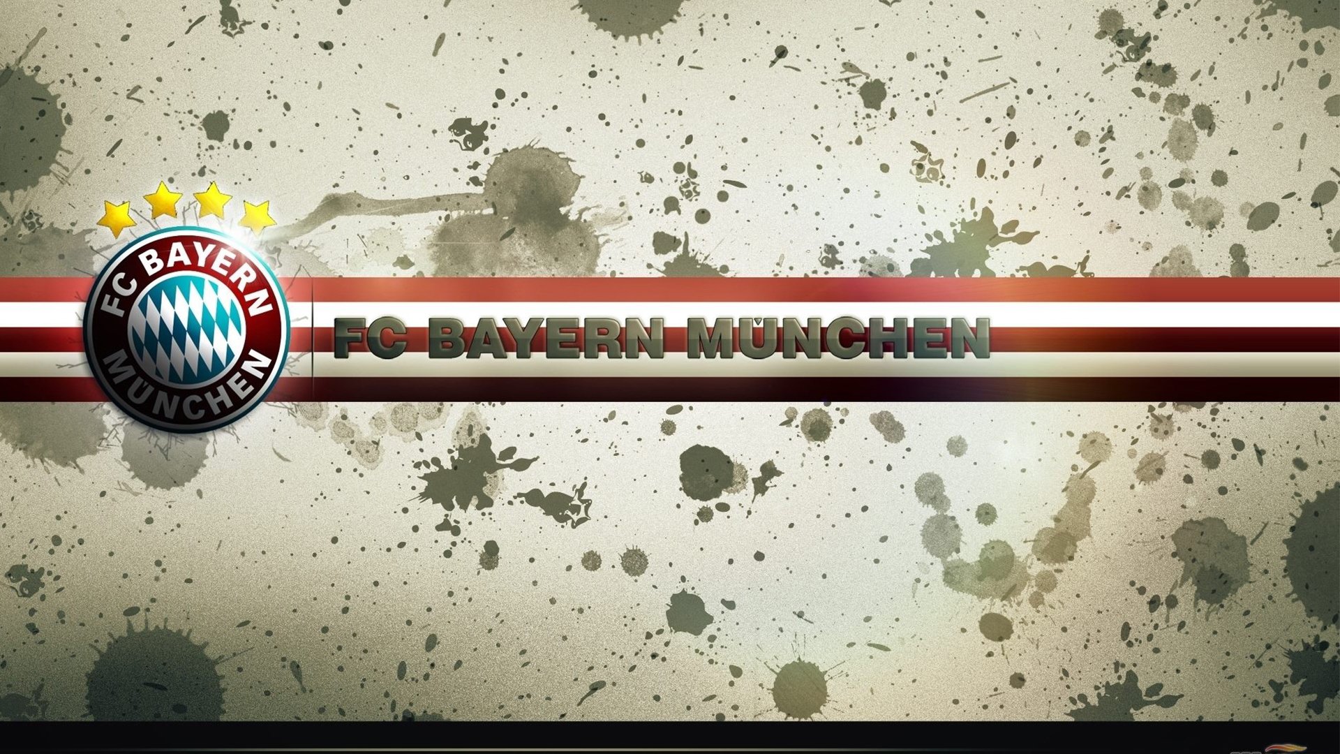 美洲杯狂热战场：明星盛放，精彩由你！，美洲杯现场观众